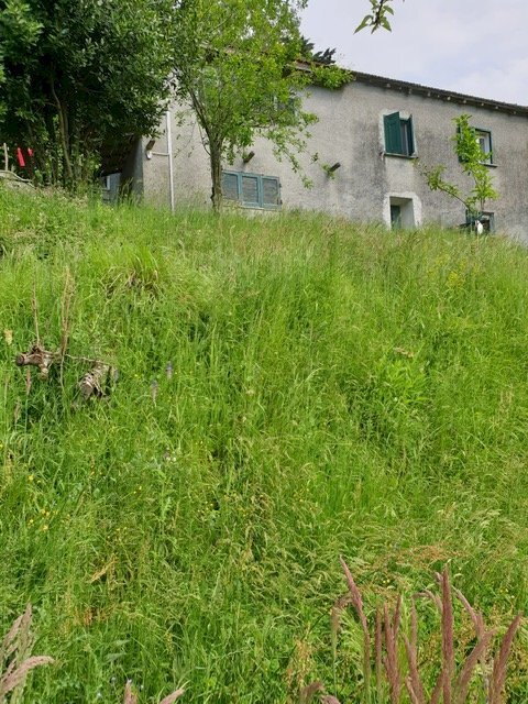 Rustico Stella - foto 2