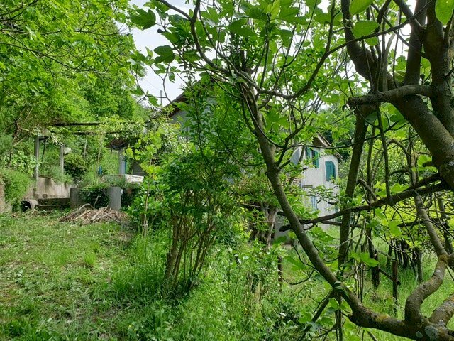 Rustico Stella - foto 3