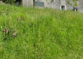 Rustic Stella - photo 2