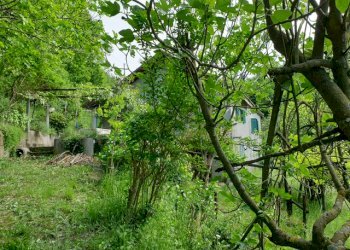 Rustic Stella - photo 3