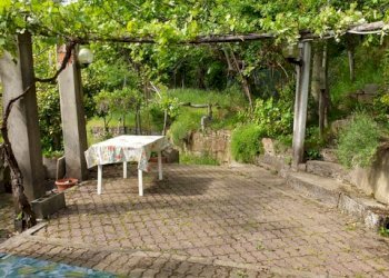 Rustic Stella - photo 5