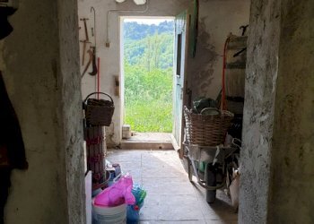 Rustic Stella - photo 6