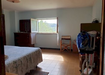 Rustic Stella - photo 14