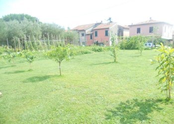 DSCN4622.jpg - Casa semi indipendente Castelnuovo Magra - foto 5