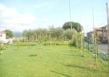 DSCN4626.jpg - Casa semi indipendente Castelnuovo Magra - foto 9