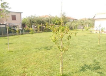 DSCN4629.jpg - Casa semi indipendente Castelnuovo Magra - foto 12