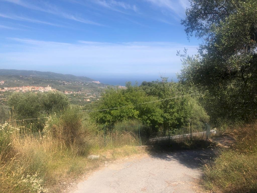 Terreno a Diano Gorleri 2 - Terreno agricolo strada ville, Diano Castello - foto 2