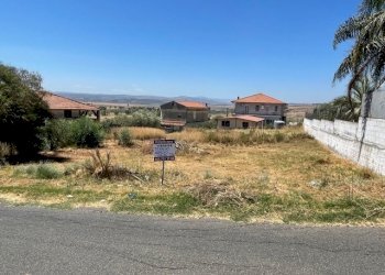 IMG_0961.jpg - Agricultural land Lentini - photo 6