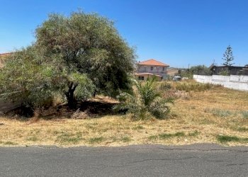 IMG_0964.jpg - Agricultural land Lentini - photo 8