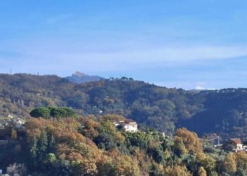 panorama.jpeg - Trilocale Santo Stefano di Magra - foto 13