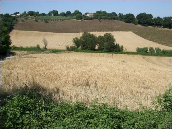 panorama - Casa indipendente Via Fontalbino 1, Jesi - foto 3