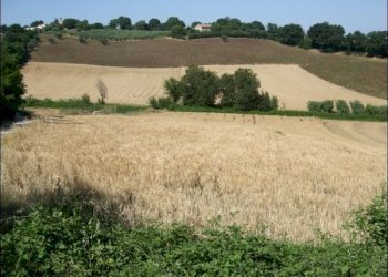 panorama - Casa indipendente Via Fontalbino 1, Jesi - foto 3