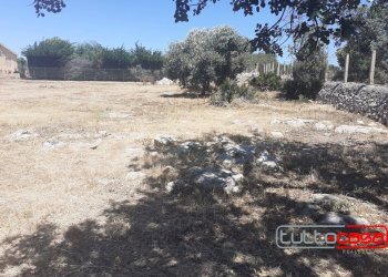 Agriturismo CONTRADA SANTA ROSALIA, Scicli - foto 9