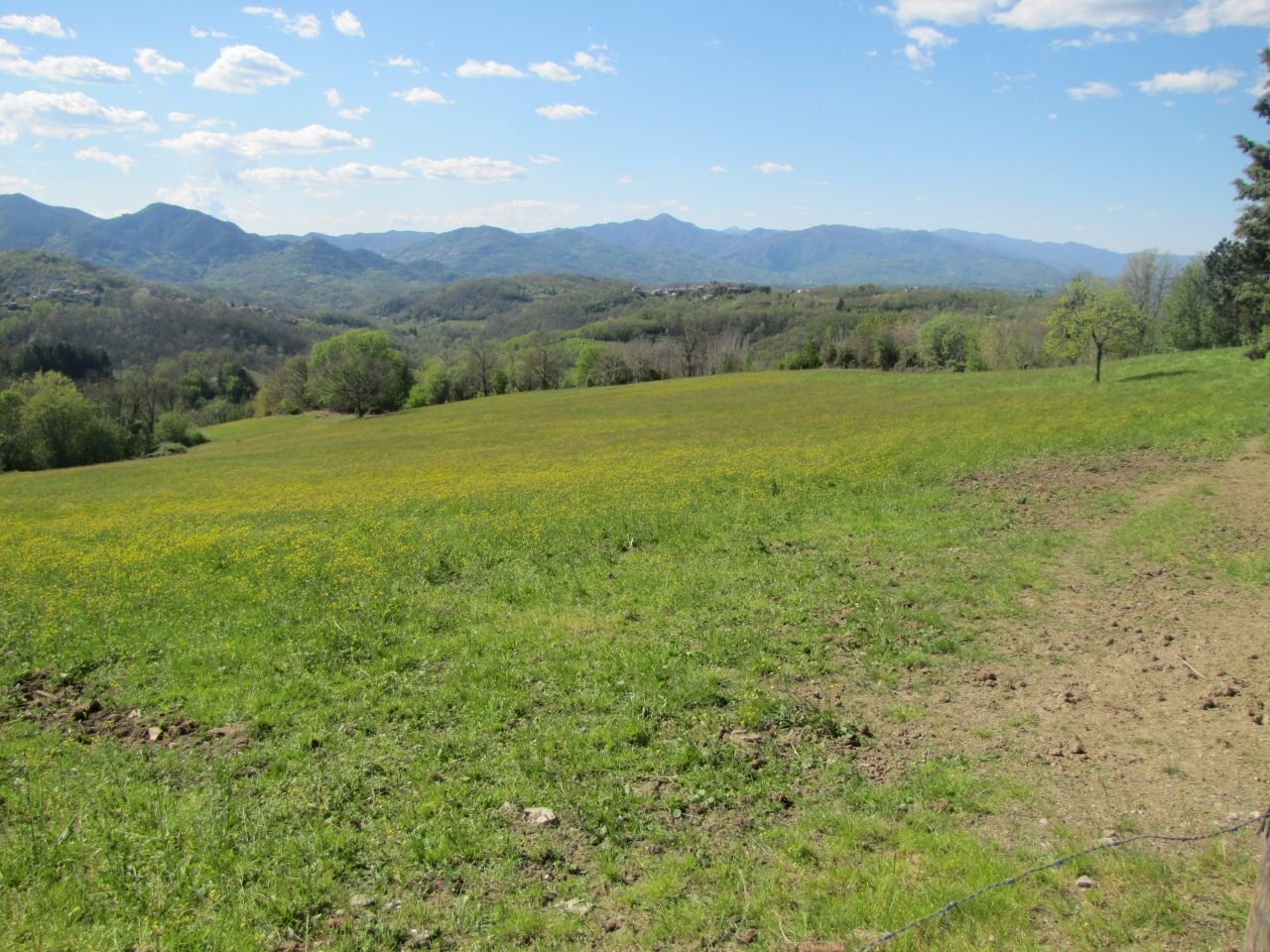 IMG_2107.JPG - Casale Fivizzano - foto 2