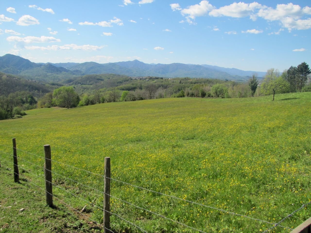 IMG_2114.JPG - Casale Fivizzano - foto 3