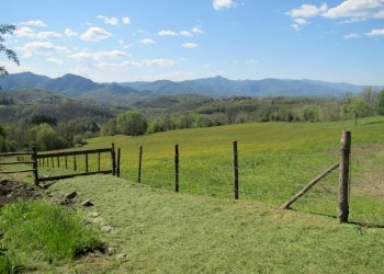 IMG_2106.JPG - Casale Fivizzano - foto 1