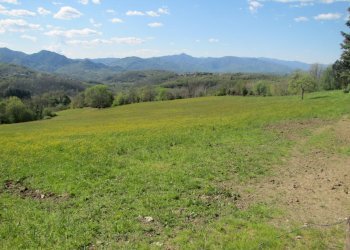 IMG_2107.JPG - Casale Fivizzano - foto 2