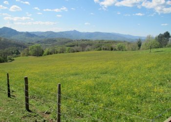 IMG_2114.JPG - Casale Fivizzano - foto 3