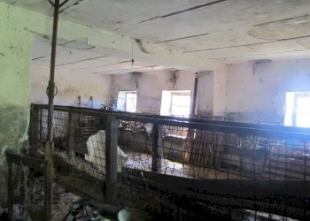 IMG_2156.JPG - Casale Fivizzano - foto 12