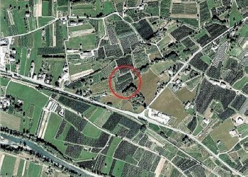 Terreno agricolo via Palù, 17, Tresivio - foto 1