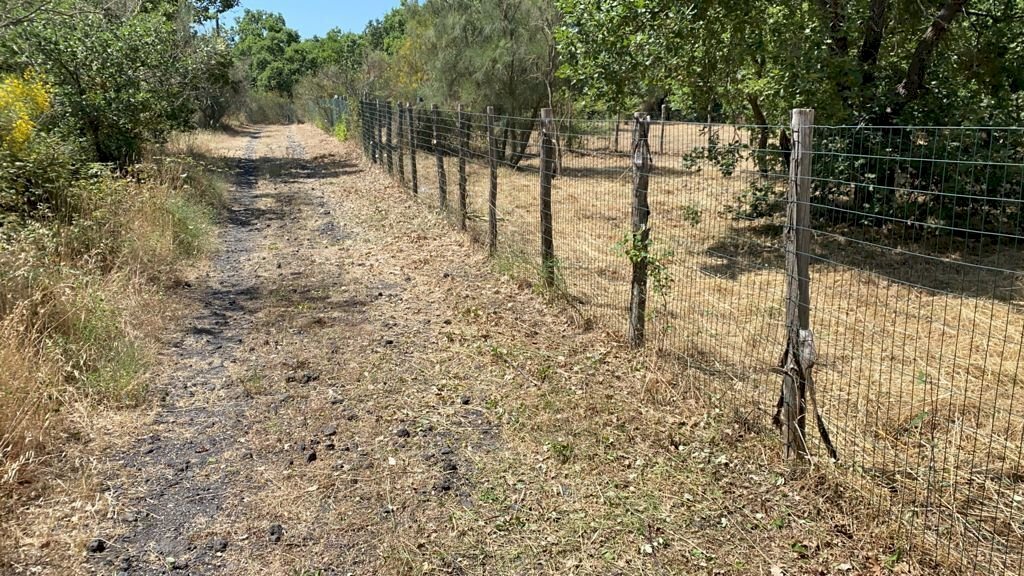 05349e20-f98c-4b9d-9ec6-cf67e33e7928.JPG - Agricultural land Via Tarderia 121, Pedara - photo 3