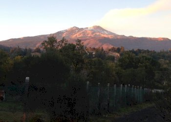 5792b1af-fb5a-4476-a14c-3ba1afc249dc.JPG - Agricultural land Via Tarderia 121, Pedara - photo 1