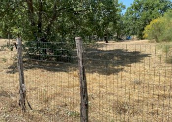 1e7f21b9-d336-4f2f-ba89-9d3b6ecce5a5.JPG - Agricultural land Via Tarderia 121, Pedara - photo 2