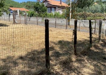 5992f5e6-4028-4d3c-bfe9-170054cb7030.JPG - Agricultural land Via Tarderia 121, Pedara - photo 4