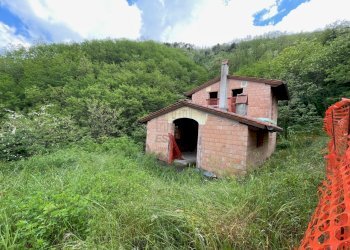 IMG_8092.jpg - Villa Via per Matraia 269, Capannori - foto 1