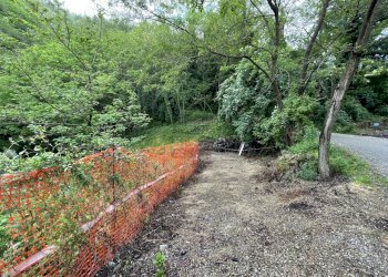 IMG_8094.jpg - Villa Via per Matraia 269, Capannori - foto 4