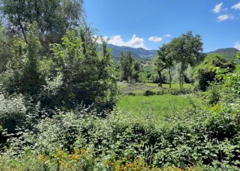 terreno - Rustico Coli - foto 15