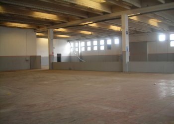 DSCN3525.JPG - Capannone Sabaudia - foto 4