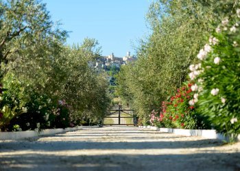 Rustico Contrada Rio Moro, Colonnella - foto 3