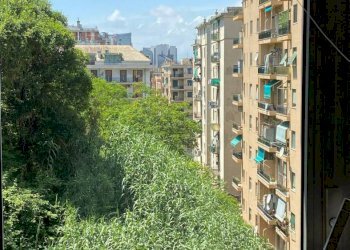 Appartamento corso Aldo Gastaldi, 15A, Genova - foto 14