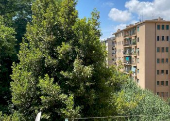 Appartamento corso Aldo Gastaldi, 15A, Genova - foto 16