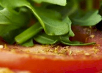 img.jpeg - Pizzeria Via di Sant'Alessio, Lucca - foto 4