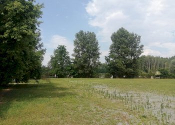 Independent house Via Stefanat Bruno, Venaria Reale - photo 11