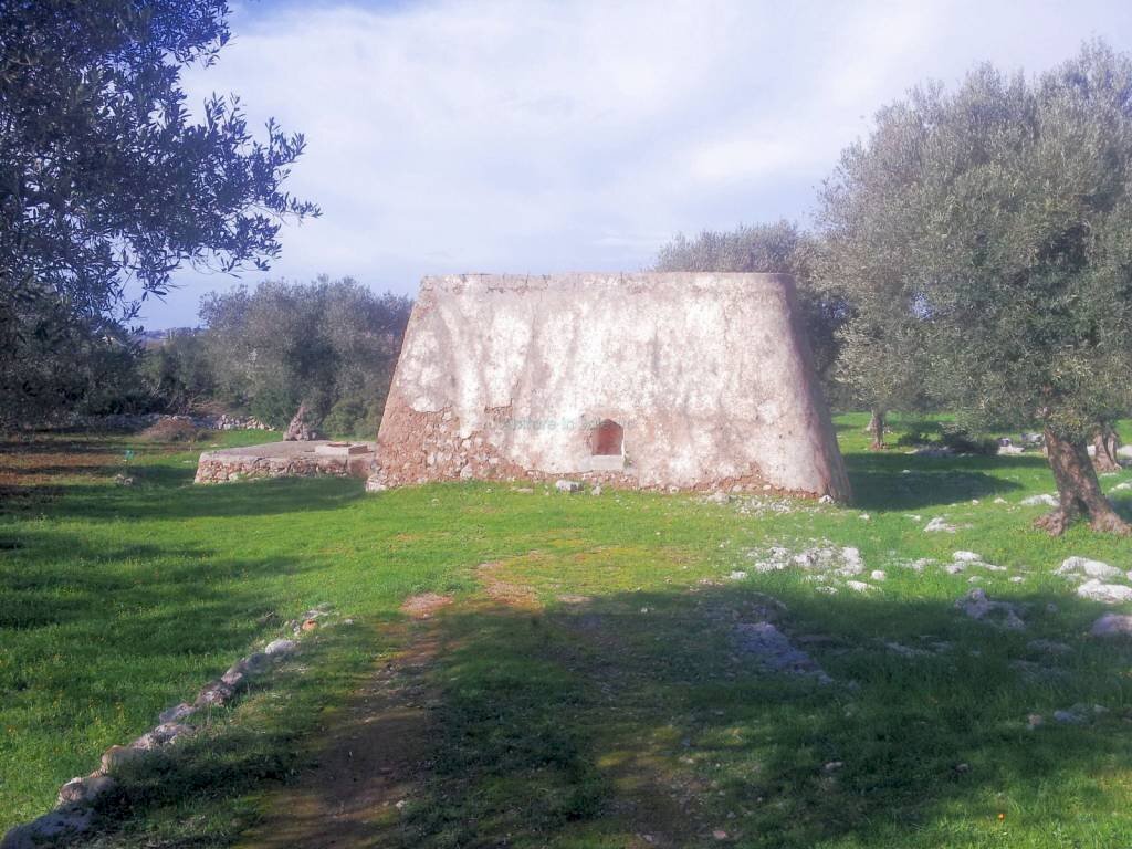 Agricultural land Salve - photo 3