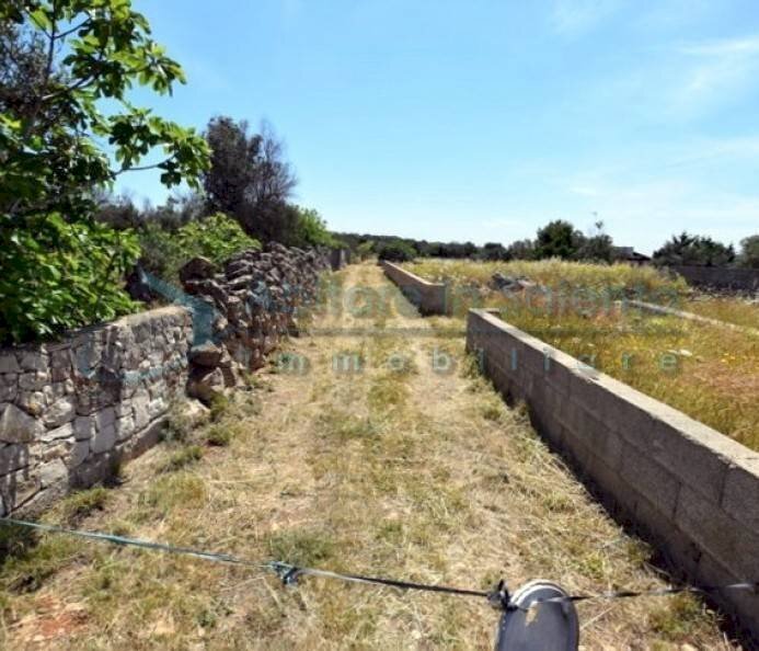 Terreno - Agricultural land Castrignano del Capo - photo 2
