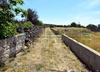 Terreno - Terreno agricolo Castrignano del Capo - foto 2