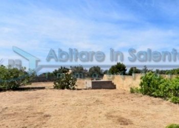 Terreno - Terreno agricolo Castrignano del Capo - foto 3