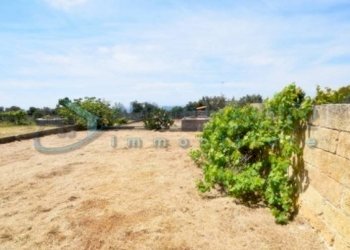 Terreno - Terreno agricolo Castrignano del Capo - foto 4