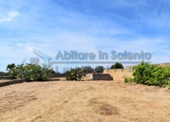 Terreno - Terreno agricolo Castrignano del Capo - foto 5