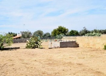 Terreno - Terreno agricolo Castrignano del Capo - foto 6