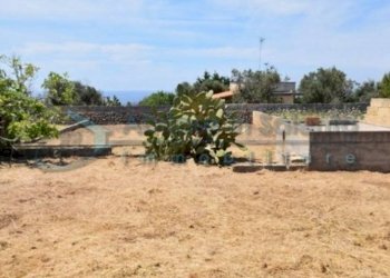 Terreno - Terreno agricolo Castrignano del Capo - foto 7