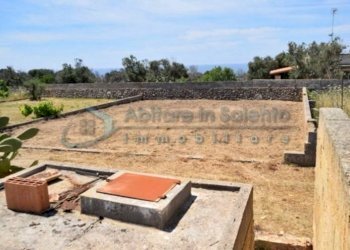 Terreno - Terreno agricolo Castrignano del Capo - foto 8