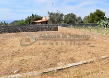Terreno - Terreno agricolo Castrignano del Capo - foto 9