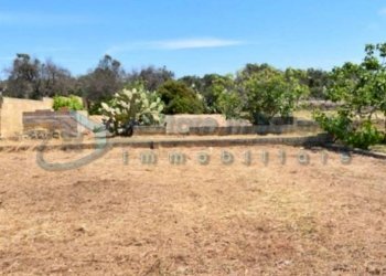 Terreno - Terreno agricolo Castrignano del Capo - foto 11