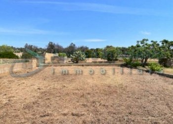 Terreno - Terreno agricolo Castrignano del Capo - foto 12