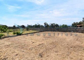 Terreno - Terreno agricolo Castrignano del Capo - foto 13